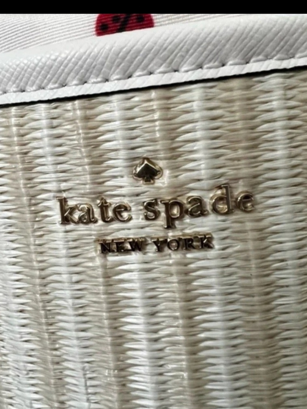 kate spade Cream Crossbody Bag with Embroidered Ladybugs - Picture 3 of 7